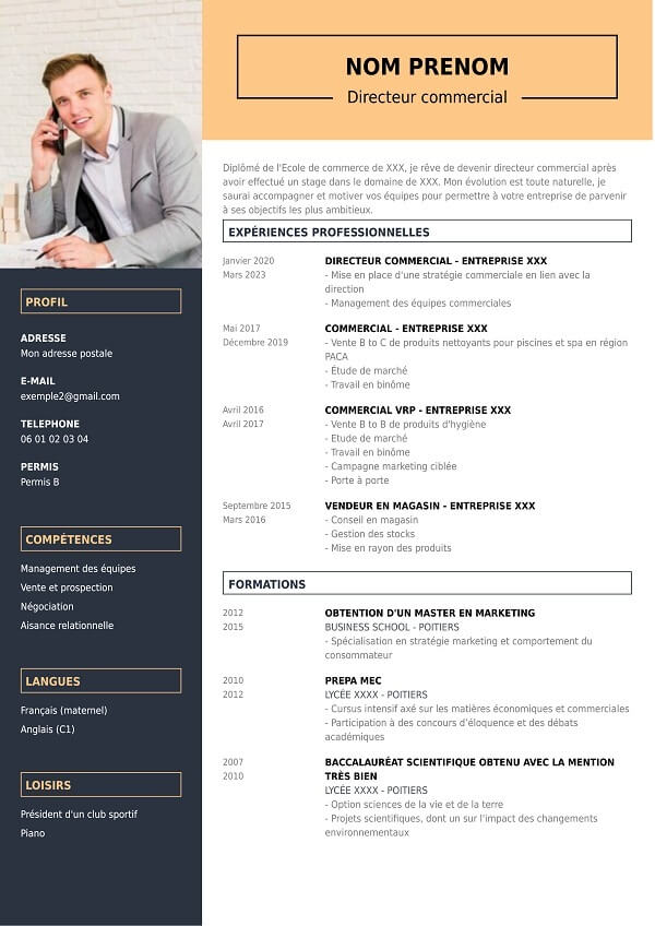 modele CV moderne pour directeur commercial