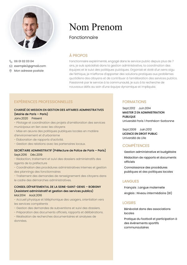 template CV marron fonction publique