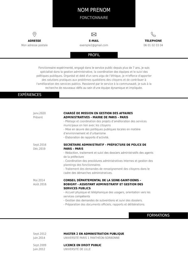 modele CV sans photo pret à télécharcher fonctiuon publique