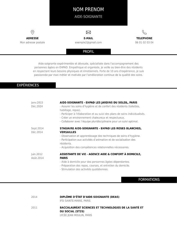 template CV classique pour EHPAD