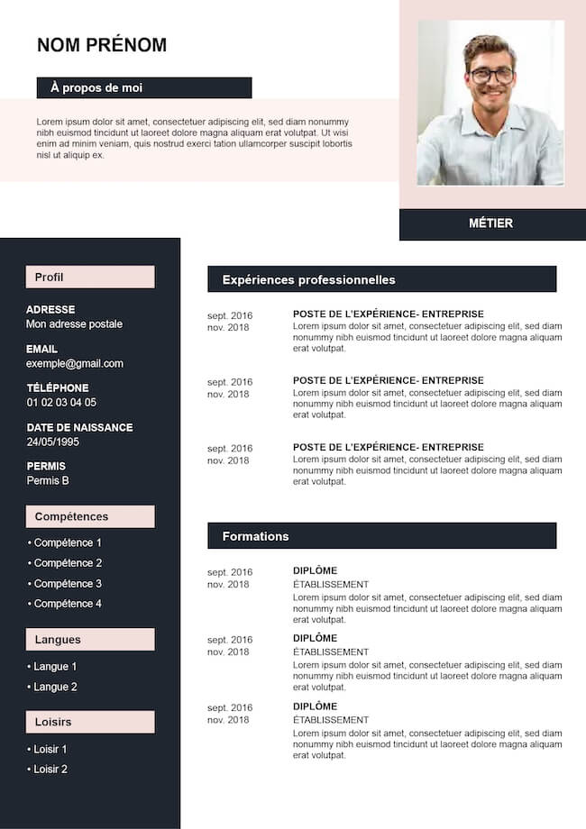 CV rose élégant