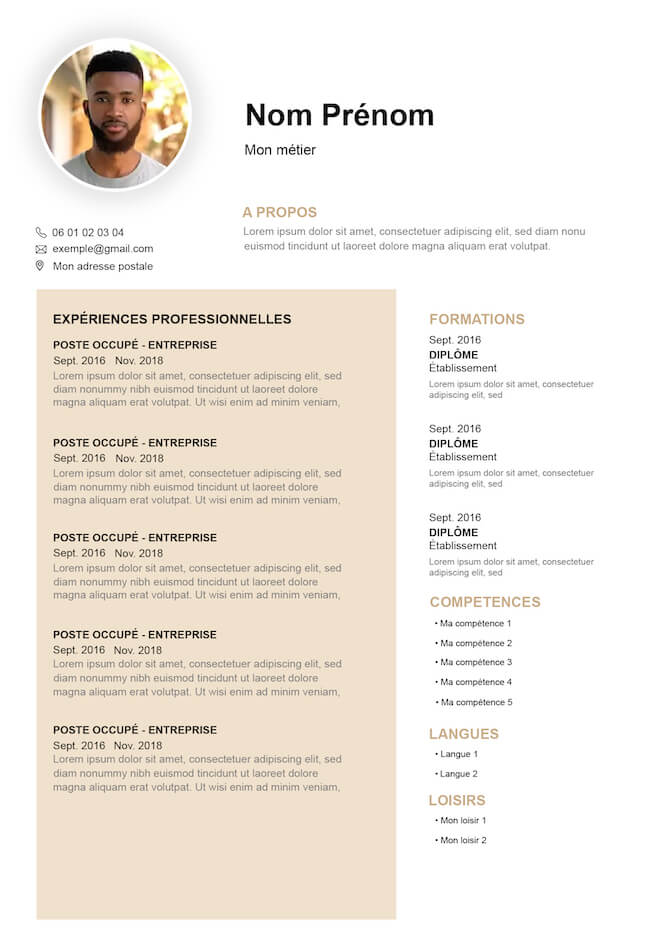 exemple de curriculum vitae moderne marron