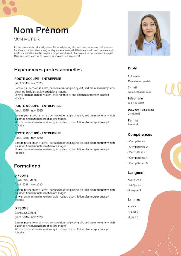 Exemple de CV