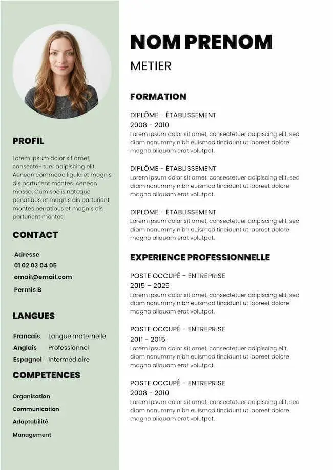 CV à remplir gratuit pour Word