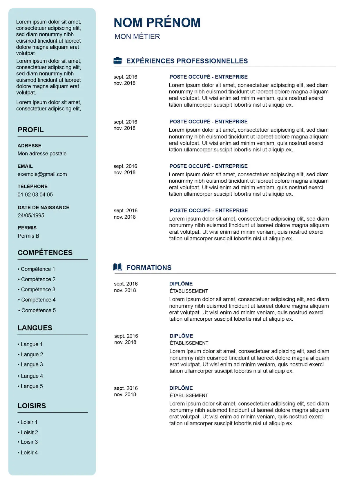Exemple de CV sans photo