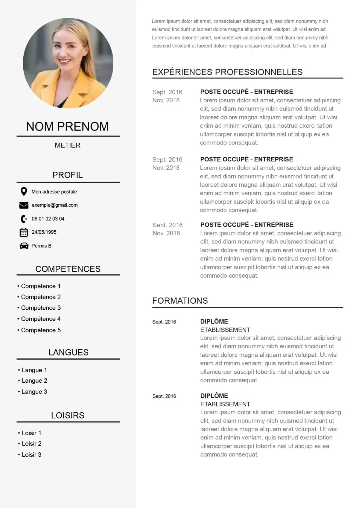 Exemple de Curriculum Vitae de couleur grise à remplir