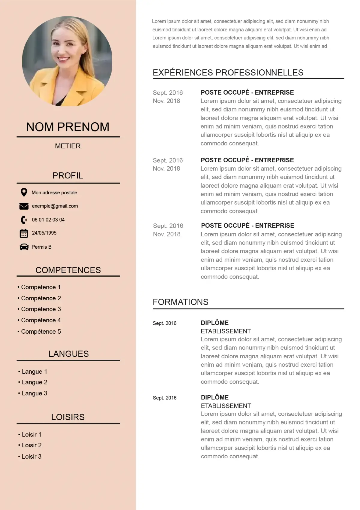 template de cv original et rose