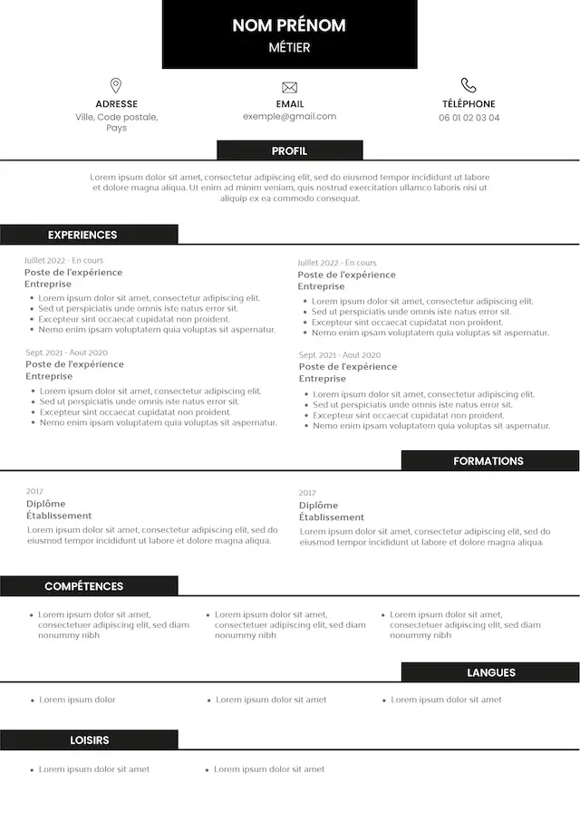 Exemple de CV sans photo moderne et organisé