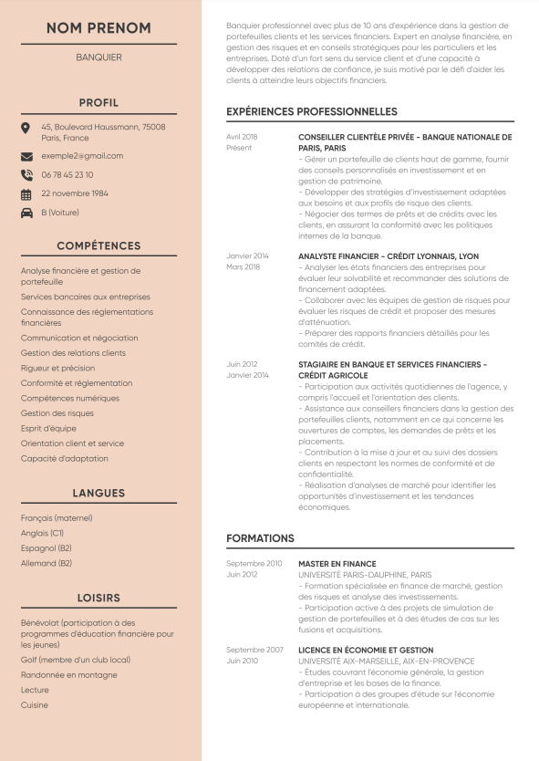 exemple de Curriculum Vitae pdf sans photo pour banquier