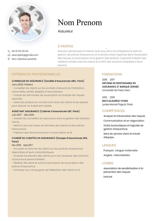 template CV marron pour assureur