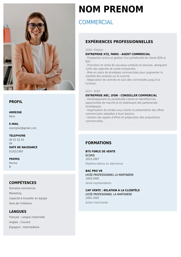 curriculun vitae graphique pour commercial