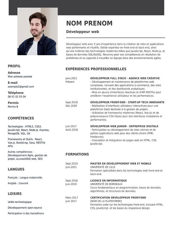 modèle curriculum vitae vierge pour developpeur web