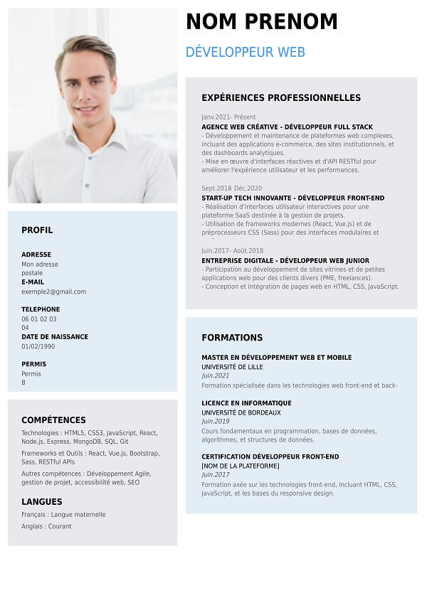 curriculum vitae graphique pour developpeur web