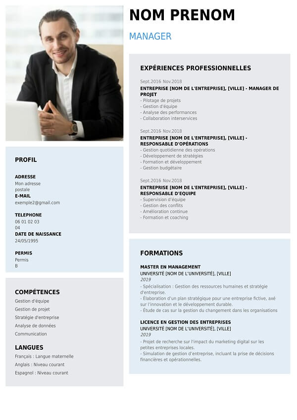 Curriculum Vitae graphique pour manager