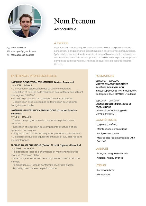 template CV marron aéronautique