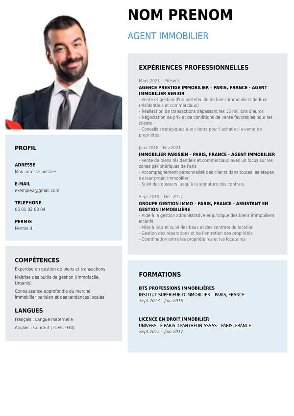 curriculum vitae graphique agent immobilier