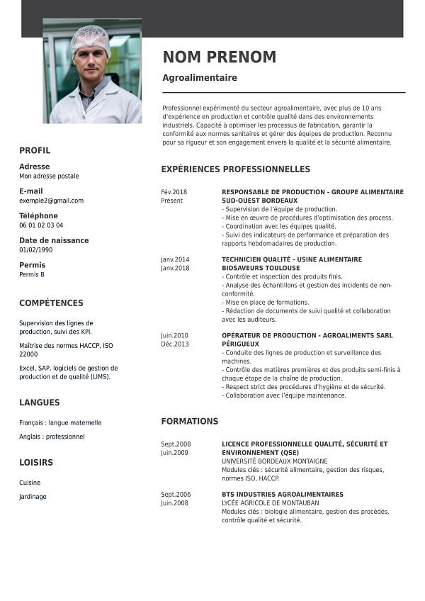 template CV classique agroalimentaire