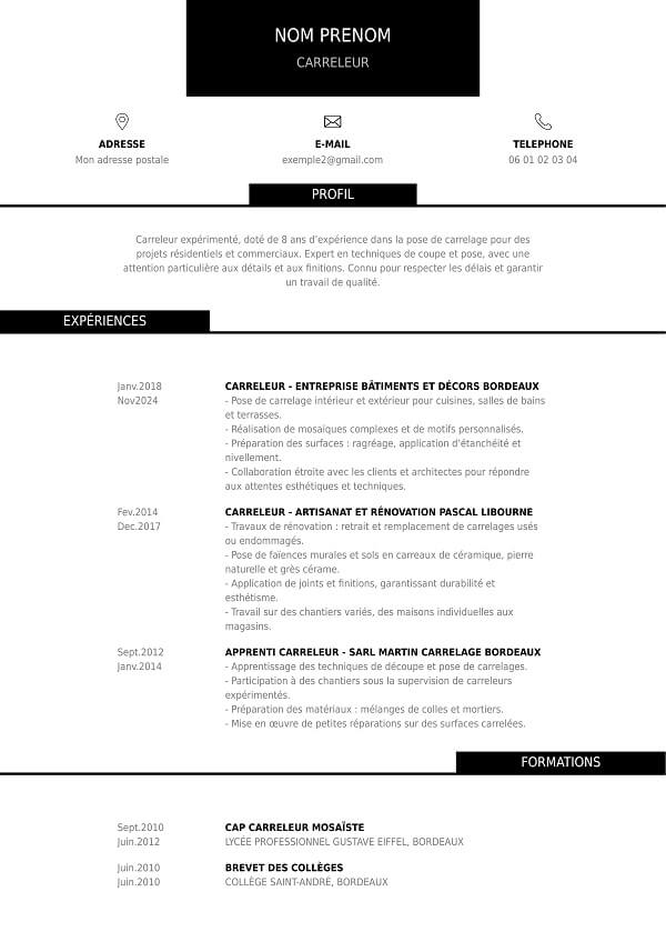 template CV sans photo carreleur