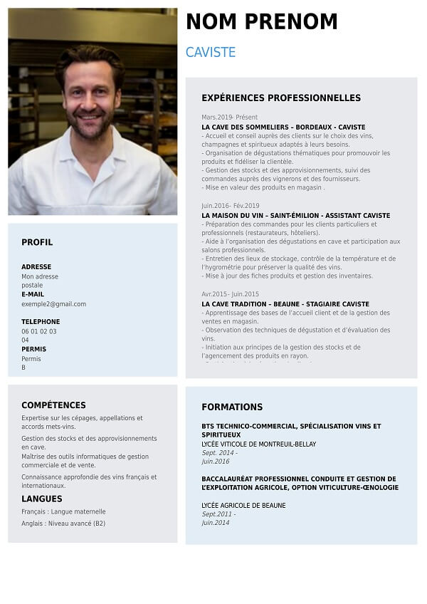 modele de cv pour caviste