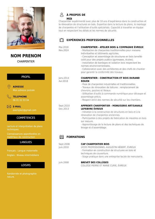 exemple curriculum vitae professionnel charpentier