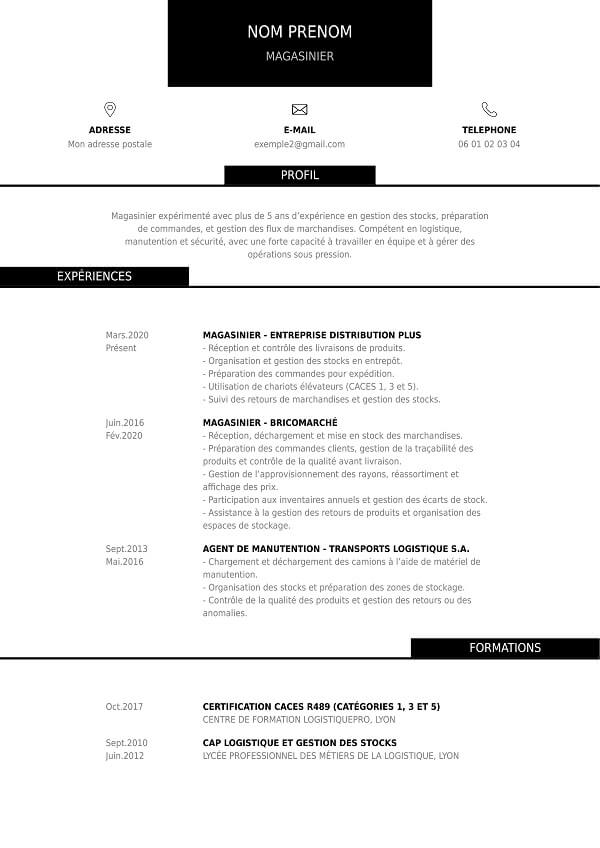 modele curriculum vitae sans photo magasinier