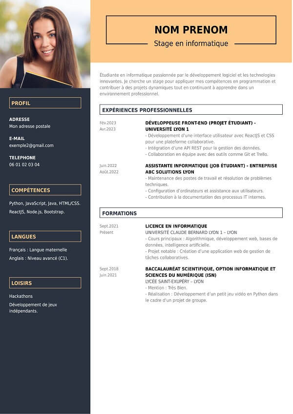 exemple CV professionnel pour stage