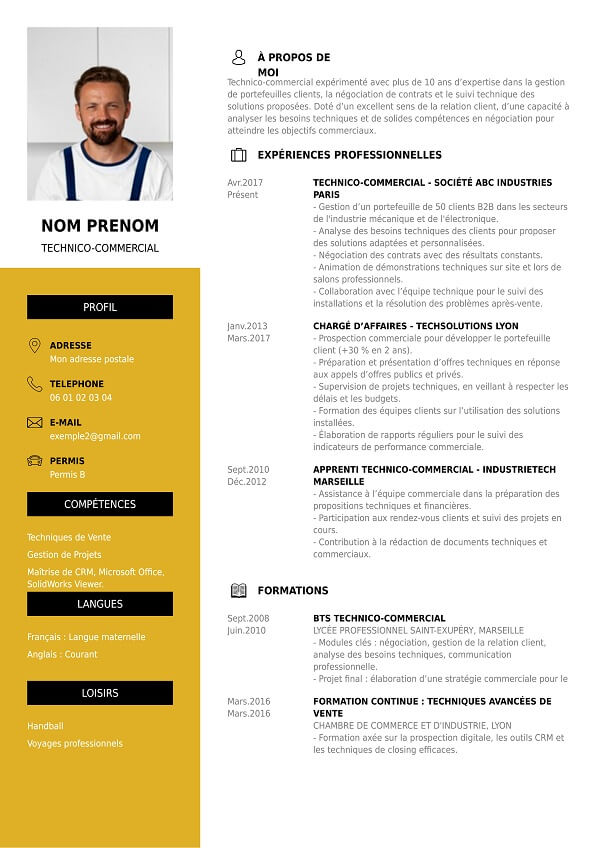 template CV original technico commercial