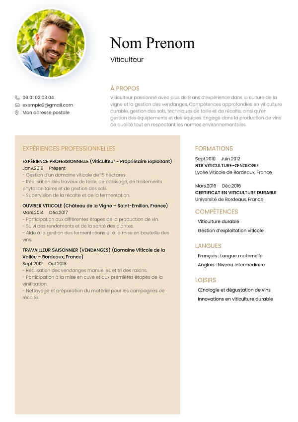 template CV marron orignale viticulteur