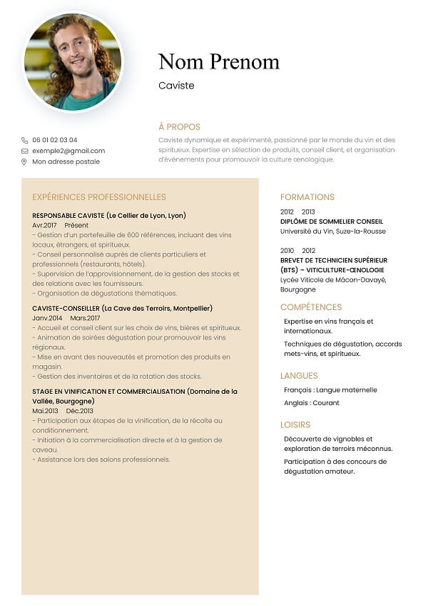 template CV marron caviste