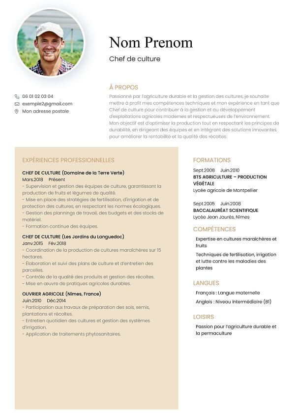 template CV marron design chef de culture