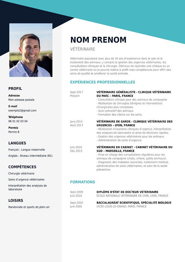 template CV moderne au format PDF vétérinaire