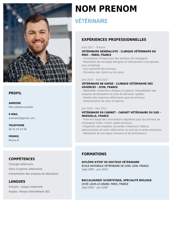 template Cv graphique à télécharger vétérinaire